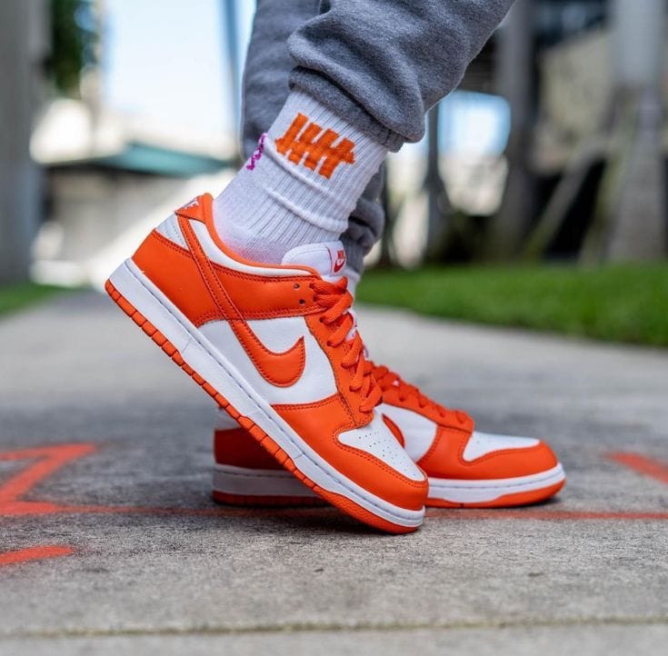 Nike SB Dunk Low Sneakers