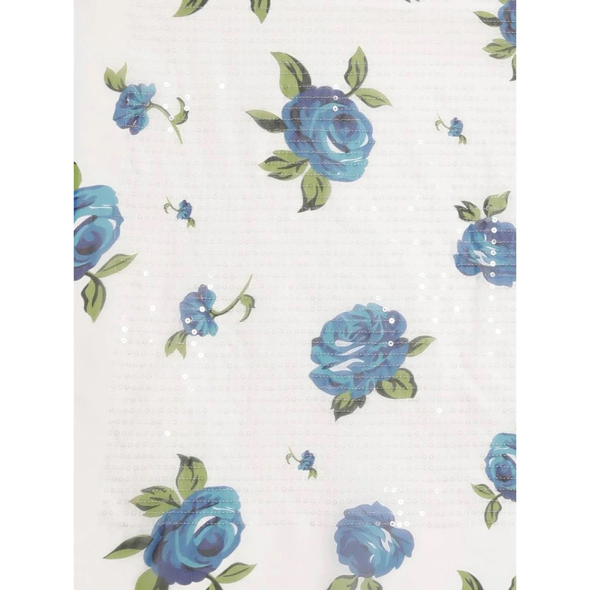 Shopesy Full sequence White Saree with Blue Blouse