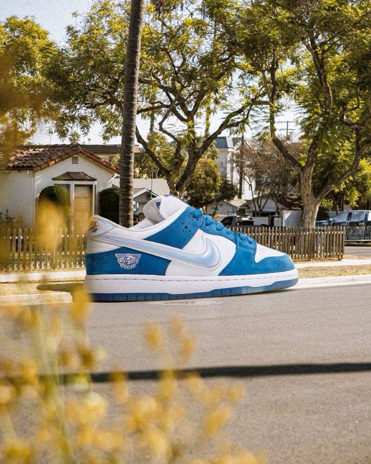 Nike SB Dunk Born X Raised Sneakers