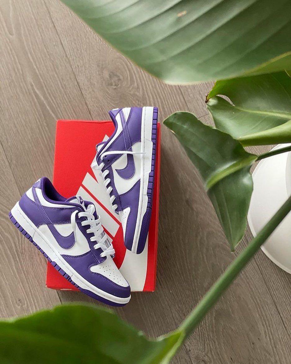 Nike Sb Dunk Court Purple Edition Sneakers