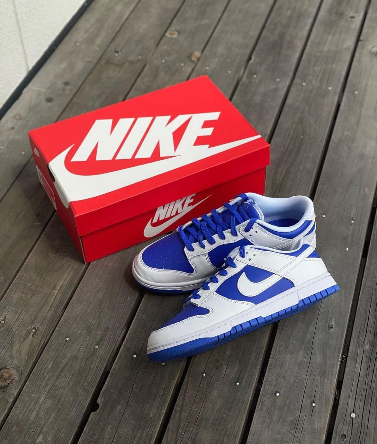 Nike SB Dunk Low Sneakers