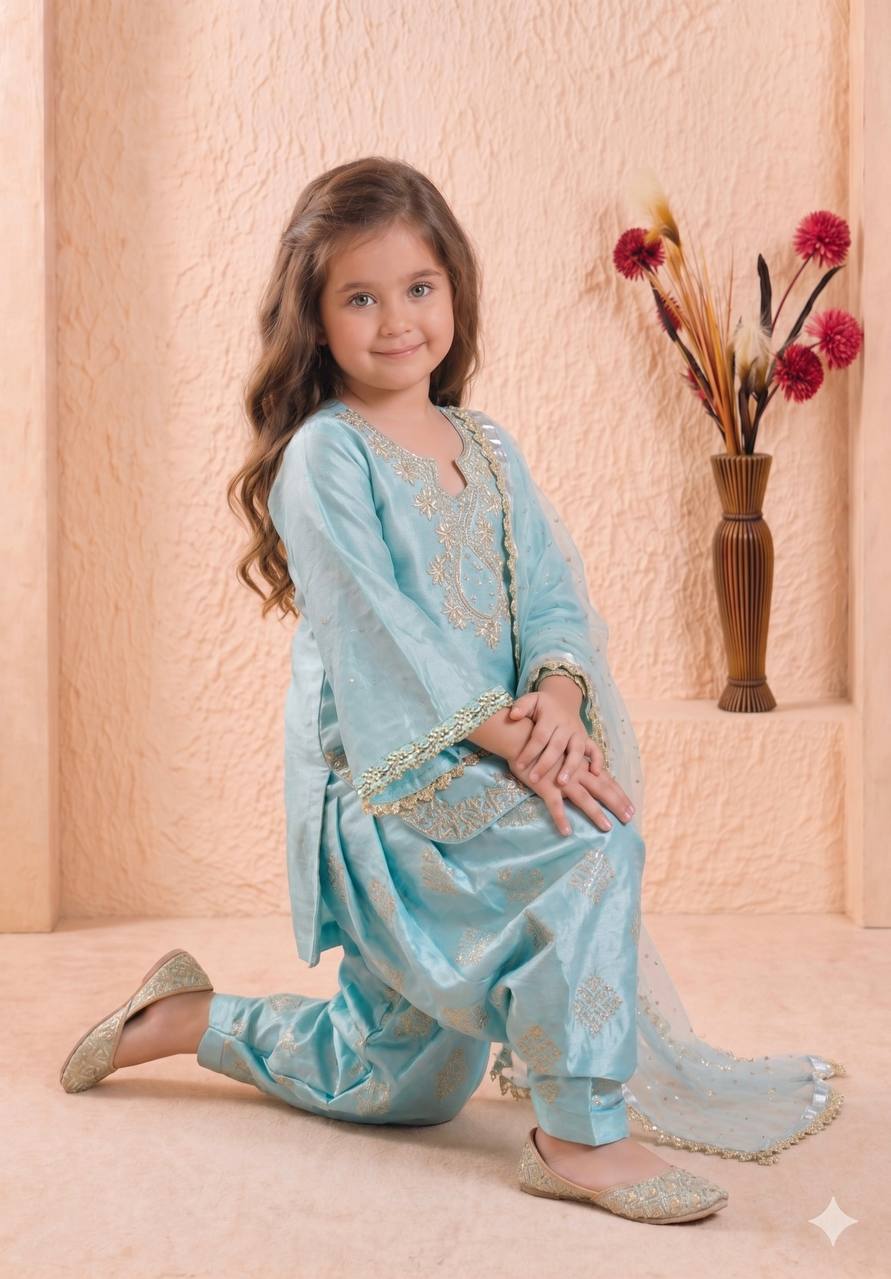 Shopesy Girls Sky Blue Embroidered Kurta Patiala Set with Dupatta